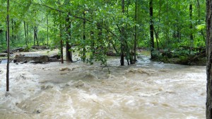 Flooding Creek in the Catskills