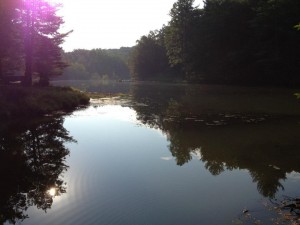 Ashokan Retreat