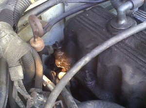 blown-headgasket