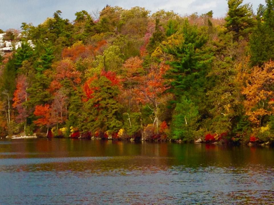 river-edge-forest-meditation